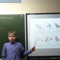 Исследовательский проект учащегося 3 класса «Зимующие птицы нашего края»
