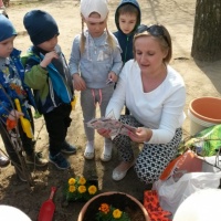 Совместная работа с родителями по экологическому воспитанию детей «Посадка семян цветов»