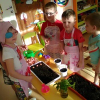 «Наблюдение в уголке природы. Огород на подоконнике: посадка лука». Конспект занятия для разновозрастной группы