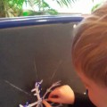 Конспект нод что я знаю о себе в старшей группе. Смотреть фото Конспект нод что я знаю о себе в старшей группе. Смотреть картинку Конспект нод что я знаю о себе в старшей группе. Картинка про Конспект нод что я знаю о себе в старшей группе. Фото Конспект нод что я знаю о себе в старшей группе