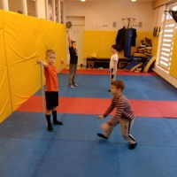 Игровые упражнения при обучении детей дошкольного и младшего школьного возраста боевым искусствам