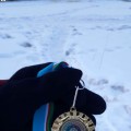 ���� �������-���������
