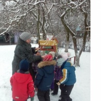 Консультация для родителей по экологии «Как помочь нашим пернатым друзьям зимой» для всех возрастных групп