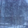 Зимняя прогулка с детьми. Фотоотчёт