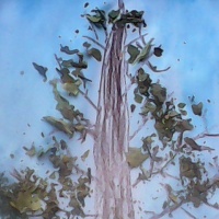 Детский мастер-класс по рисованию восковыми мелками и аппликации из листьев деревьев «Осеннее дерево»