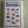 Лэпбук «Мир насекомых»