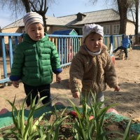 Конспект прогулки «Цветы на клумбе» (первая младшая группа)