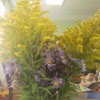 как украсить стену к осени в детском саду. Смотреть фото как украсить стену к осени в детском саду. Смотреть картинку как украсить стену к осени в детском саду. Картинка про как украсить стену к осени в детском саду. Фото как украсить стену к осени в детском саду как украсить стену к осени в детском саду. Смотреть фото как украсить стену к осени в детском саду. Смотреть картинку как украсить стену к осени в детском саду. Картинка про как украсить стену к осени в детском саду. Фото как украсить стену к осени в детском саду