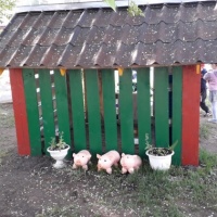 � ���������� ��������� � ����� ������� �������� ���� ���������� � ����������