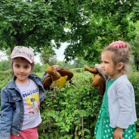И что под водой черепахи могут задерживать дыхание на пять часов могут определять магнитное поле Земли и использовать его как компас
