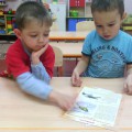 Синичкин День (фотоотчёт)