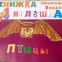 Самодельная книжка «Природа Урала»