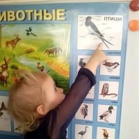 Конспект беседы для детей дошкольного возраста «Птицы — наши друзья»