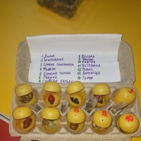 Мастер-класс по изготовлению поделки из яичного лотка и контейнеров от киндер-сюрпризов «Органайзер для семян»