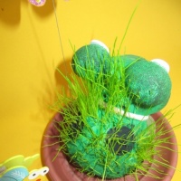 Domácí bylinky Temochki S náležitou péčí je EcoZhivchik pokryt měkkou zelenou trávou