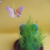 Zelenou trávu je potřeba zalévat, přihnojovat a také ji můžete stříhat na trsy a dokonce i dělat účesy.