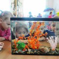 Беседа с детьми старшего дошкольного возраста об аквариумных рыбках — гуппи. Наблюдение за рыбками в аквариуме