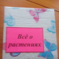 Лэпбук «Все о растениях»