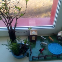 Фотоотчет о мини-огороде на окне «Во саду ли, в огороде» в младшей разновозрастной группе