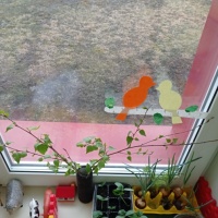 Проект «Огород на окне» в младшей разновозрастной группе
