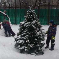 И вот она превратилась в прекрасную нарядную красавицу Мы не могли налюбоваться ею