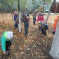 Во время прогулки постоянно напоминаю детям что нужно охранять природу заботиться о ней так как в раннем возрасте формируются основы