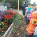 Во время таких прогулок у детей формируется умение обращать внимание на красоту природы умение видеть красивое восхищаться им