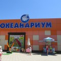Что можно написать про океанариум. Смотреть фото Что можно написать про океанариум. Смотреть картинку Что можно написать про океанариум. Картинка про Что можно написать про океанариум. Фото Что можно написать про океанариум