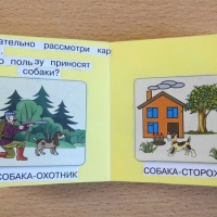В мире животных Книга
