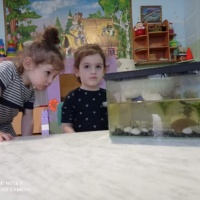 Конспект НОД «Рыбка» в группе раннего возраста 2–3 лет