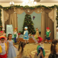 Сценарий праздника для детей старшей группы «Новогодний карнавал»
