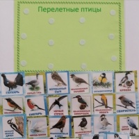 Дидактические игры «Зимующие и перелетные птицы» на липучках