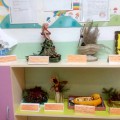 Выставка поделок из природного материала «Осенние фантазии»