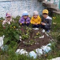 ЛЕТНИЕ ХЛОПОТЫ И НЕ ТОЛЬКО ХЛОПОТЫ НА ОГОРОДЕ И ЦВЕТНИКЕ