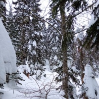 Фотозарисовка «Зимушка-зима. Зима в Адыгее». Часть вторая