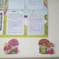 как украсить стену к осени в детском саду. Смотреть фото как украсить стену к осени в детском саду. Смотреть картинку как украсить стену к осени в детском саду. Картинка про как украсить стену к осени в детском саду. Фото как украсить стену к осени в детском саду как украсить стену к осени в детском саду. Смотреть фото как украсить стену к осени в детском саду. Смотреть картинку как украсить стену к осени в детском саду. Картинка про как украсить стену к осени в детском саду. Фото как украсить стену к осени в детском саду