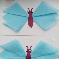 Детский мастер-класс по аппликации из бумажных салфеток в технике оригами «Бабочка»