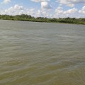 Предлагаю вам совершить заочное и удивительное путешествие в Царство растений которое находится в Казахстане на территории Павлодарской области близ реки Иртыш