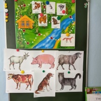 Комплексное занятие по ФЦКМ «Домашние животные» для детей средней группы
