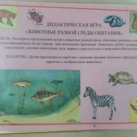 Дидактическая экологическая игра для детей старшей и подготовительной группы «Животные разной среды обитания»