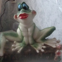 Фоторепортаж «Моя коллекция лягушек»