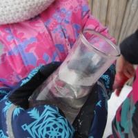 Фотоотчёт об опытно-экспериментальной деятельности «Нужен ли растениям снег» на прогулке детей средней группы