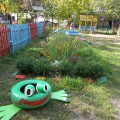 Наш летний участок