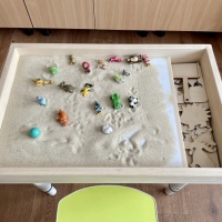 Конспект занятия по песочной терапии с детьми стершей группы «Волшебная песочница»