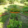 Фотоотчет «Во саду ли, в огороде…»