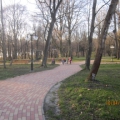 Познавательные прогулки