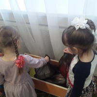 ������ ���� �������� ���������� �������� ��� �� ��� � ������� ������ ������ ������ ��������� � �������� ��������� �������