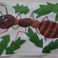 Домашнее занятие по экологическому воспитанию «Наблюдение за муравьями» для детей подготовительной к школе группе