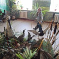 Экскурсия для дошкольников в музей природы.