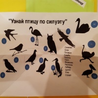Лэпбук Моя малая Родина мой край мой город Лэпбук предназначен для детей старшего дошкольного возраста